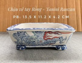 Chậu vẽ tay thủ công hình ảnh rồng nghệ nhân Tani Ranzan