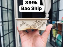 Thanh Lý Chậu Bunzan Nhật Bản
