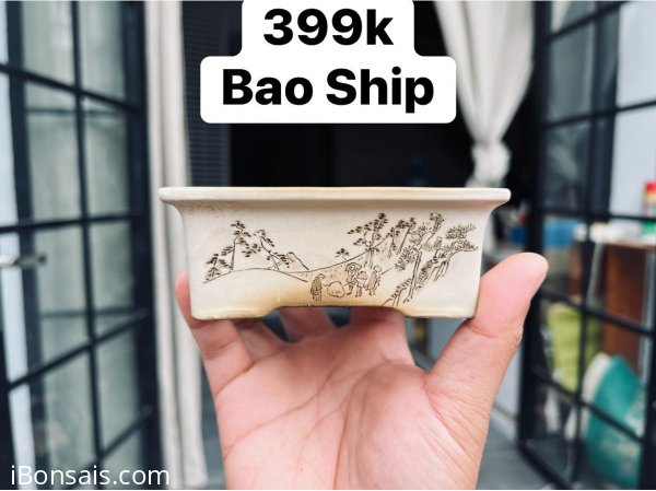 Thanh Lý Chậu Bunzan Nhật Bản