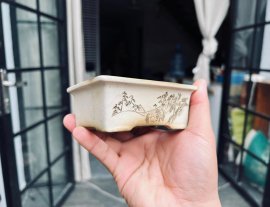 Thanh Lý Chậu Bunzan Nhật Bản