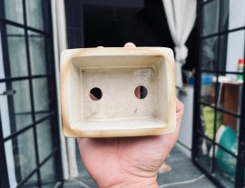 Thanh Lý Chậu Bunzan Nhật Bản