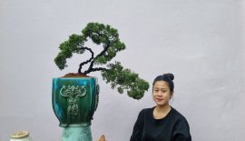 Tập tành chơi tùng Nhật đồ