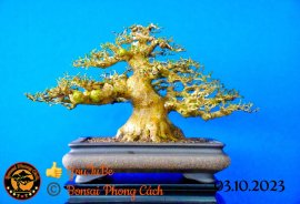 Tác phẩm sam hương đài loan