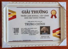 Tp mai chiếu thuỷ