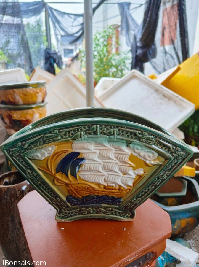 Chậu quạt 100k bao ship
