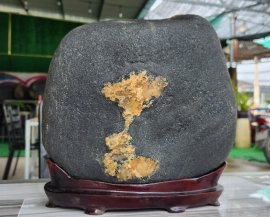 Tôi đang nghe tổ quốc gọi tên mình ...