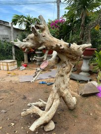 HOÀNG ANH MỘC