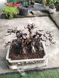 Làm tý đồ nghệ thuật chơi cho có phong trào với ae