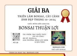 Tác phẩm : Mai chiếu thủy ( Nu Gò Công )