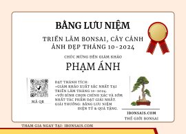 Vietnamese blue bell artwork