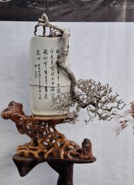 Sam núi một cây đổ treo rất khó tìm