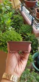 Bigei bonsai pot 1.868k