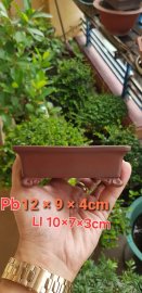 Bigei bonsai pot 1.868k