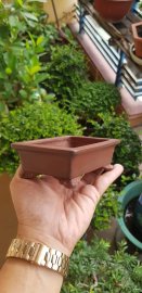 Bigei bonsai pot 1.868k