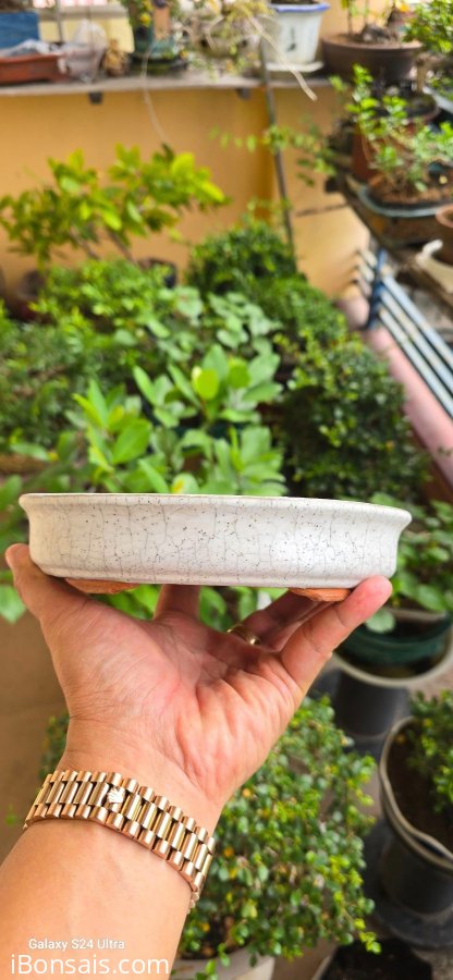 Bonsai Ovan pot 18×13,5×3,5cm
