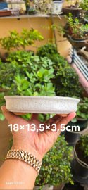 Bonsai Ovan pot 18×13,5×3,5cm