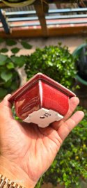 Cặp chậu Shoseki men thúy hồng lâu năm quá đẹp để ACE lựa chọn