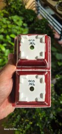 Cặp chậu Shoseki men thúy hồng lâu năm quá đẹp để ACE lựa chọn