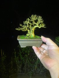 Tận cùng của giản đơn tôi gọi đó là tinh tế