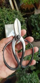 Kéo bướm size16 mộc chiện vàng nổi bật