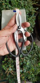 Kéo bướm size16 mộc chiện vàng nổi bật
