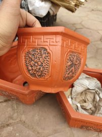 Bộ 3 chậu 190k