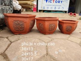 Bộ 3 chậu 190k