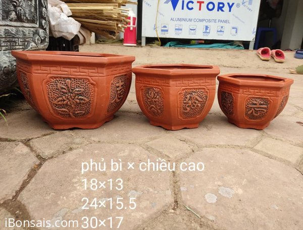 Bộ 3 chậu 190k