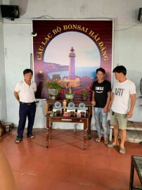 Kết thúc cuộc thi Bonsai Mini sau 3 ngày tranh tài