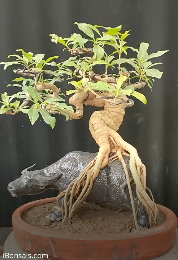 Con trâu là đầu cơ nghiệp-Trâu cõng "Lộc vừng"