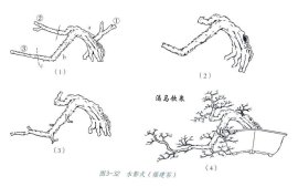 Quá trình tạo tác phong cách Lingnan