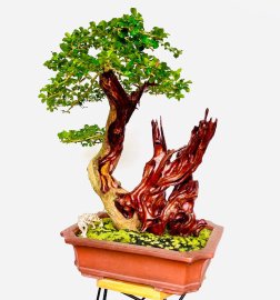 Tác phẩm: TAM SƠN NHẤT MỘC