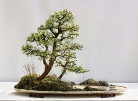 Giao Lưu Tham Khảo