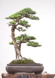 Giao Lưu Tham Khảo