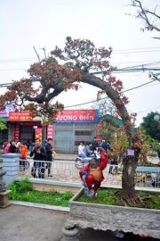 Giao Lưu Tham Khảo