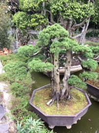 Giao Lưu Tham Khảo