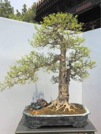 Giao Lưu Tham Khảo