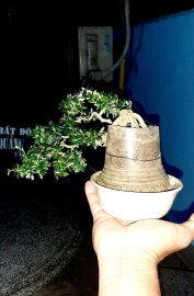 Giao lưu ae Linh Sam 86