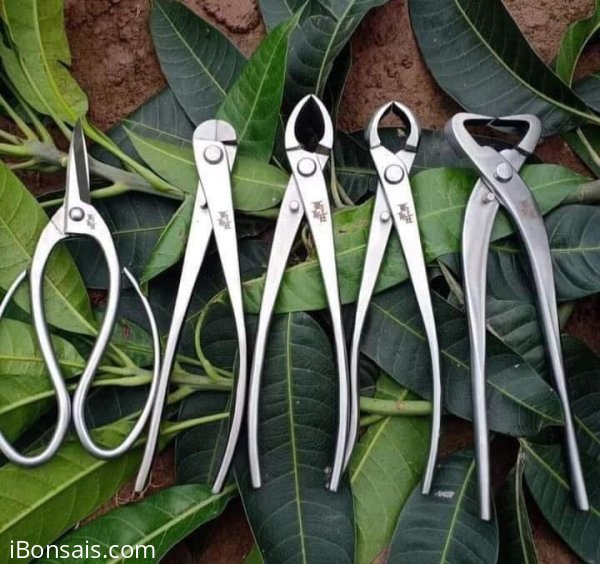 Kìm các loại Made in Japan, đồng giá 550k/c