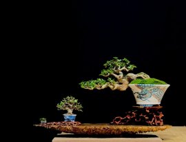 Tổng hợp đổ và bay (P1)