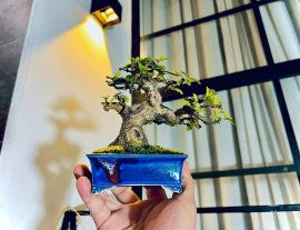 Tổng hợp đổ và bay (P1)