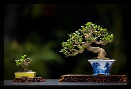Tổng hợp đổ và bay (P2)