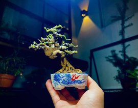 Tổng hợp đổ và bay (P2)