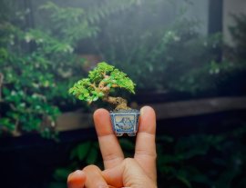 Tổng hợp đổ và bay (P2)