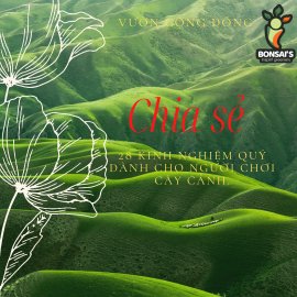 28 KINH NGHIỆM QUÝ DÀNH CHO NGƯỜI CHƠI CÂY CẢNH.