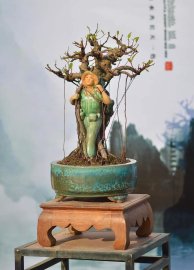 Chú bộ đội ký cây cao 30cm : 350k/ sp