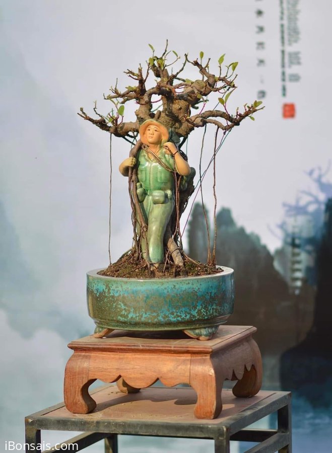 Chú bộ đội ký cây cao 30cm : 350k/ sp