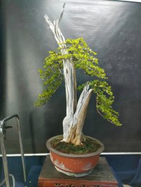 Mời ace vào xem live tối nay nhé!