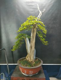 Mời ace vào xem live tối nay nhé!