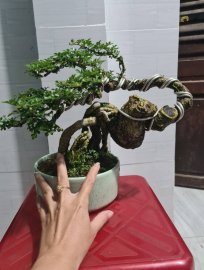 Cần thăng quái giao lưu cả nhà
